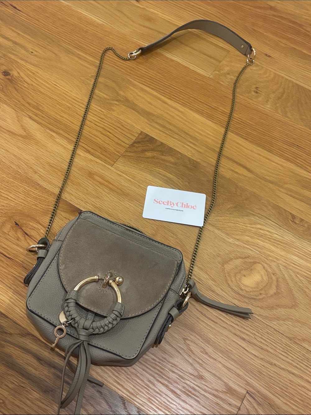 See By Chloe Taupe Leather & Suede Mini Crossbody with Braided Ring